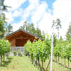 Weinführungen, Degustation in der Vinothek David in Kärnten Österreich